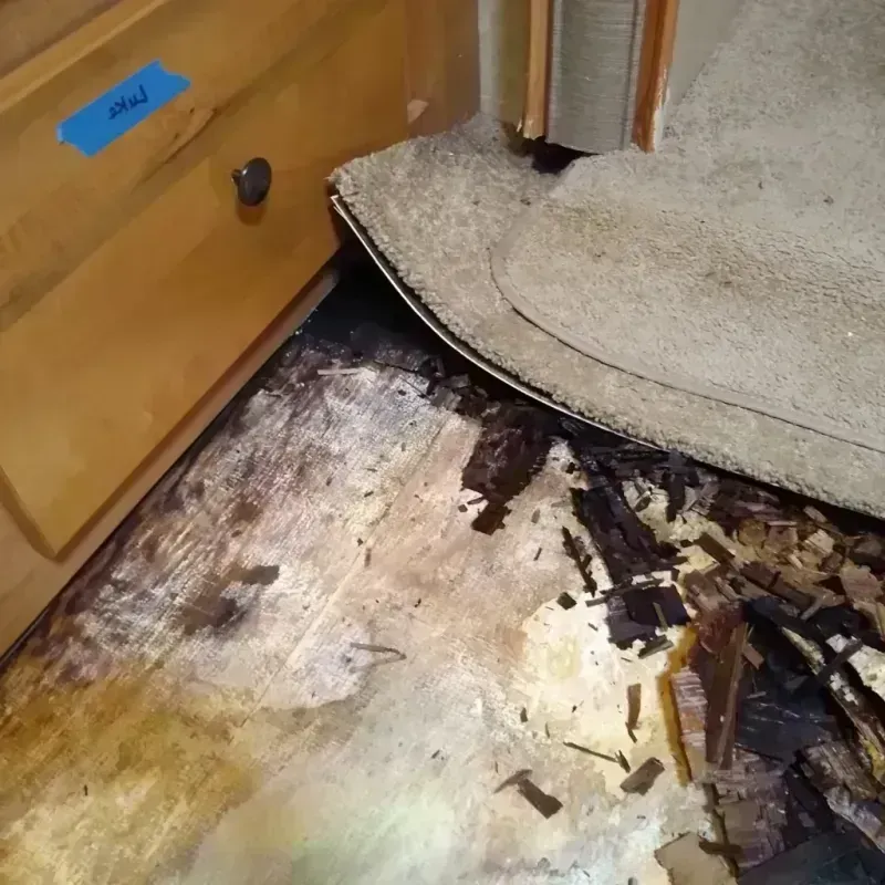 Wood Floor Water Damage in Miramar Beach, FL